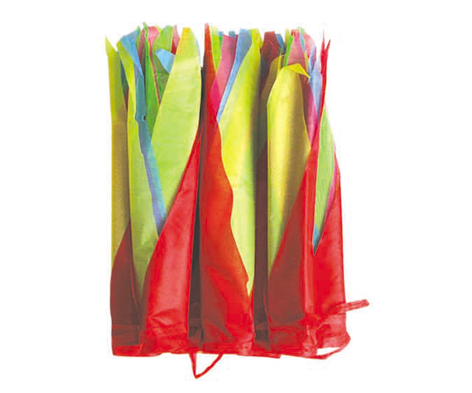 ZZ0257-小(xiǎo)彩旗